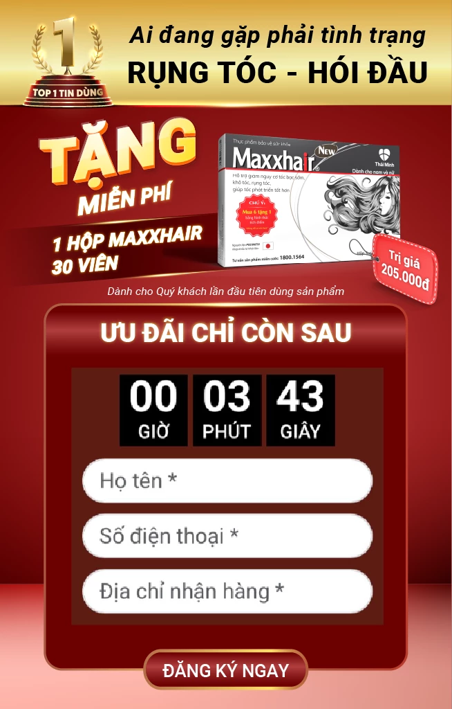 Artboard 1 copy 3@0.5x2.webp